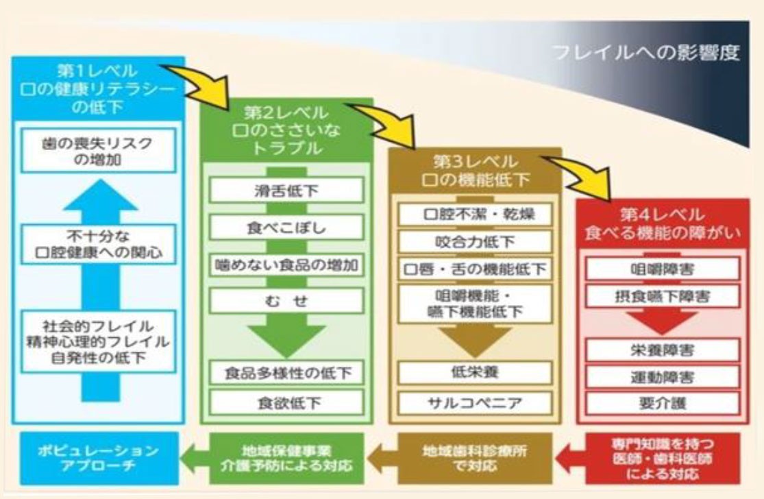 口の衰えがフレイルへ進む段階を示す図。第1レベル（口の健康リテラシー低下）から歯の喪失リスクが高まり、口の小さなトラブル（滑舌低下・食べこぼし・噛めない食品の増加・むせ）へ。さらに口腔機能低下（口腔不潔・乾燥、咬合力低下、口唇や舌の機能低下、咀嚼・嚥下機能低下）によって低栄養やサルコペニアを招き、最終的に食べる機能の障がい（嚥下障害・摂食嚥下障害）から栄養障害・運動障害・要介護へつながる可能性があることを表している。