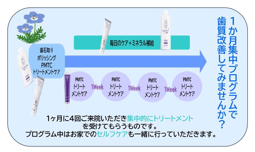 1か月集中プログラムで歯質改善を目指す内容を示す図。歯石取り・ポリッシング・PMTCなどのトリートメントを1週間ごとに計4回受け、あわせて毎日のセルフケアとミネラル補給を行う流れを説明している。
