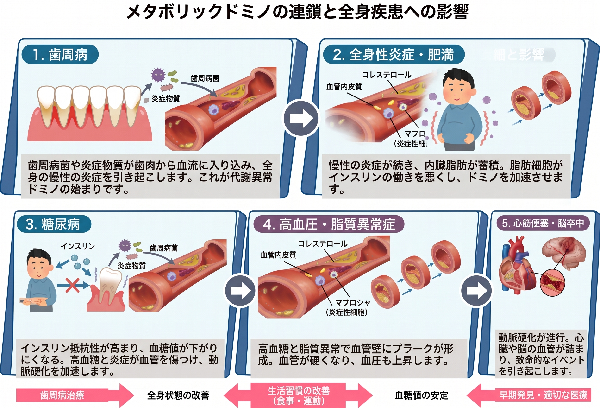 メタボリックドミノのイメージ